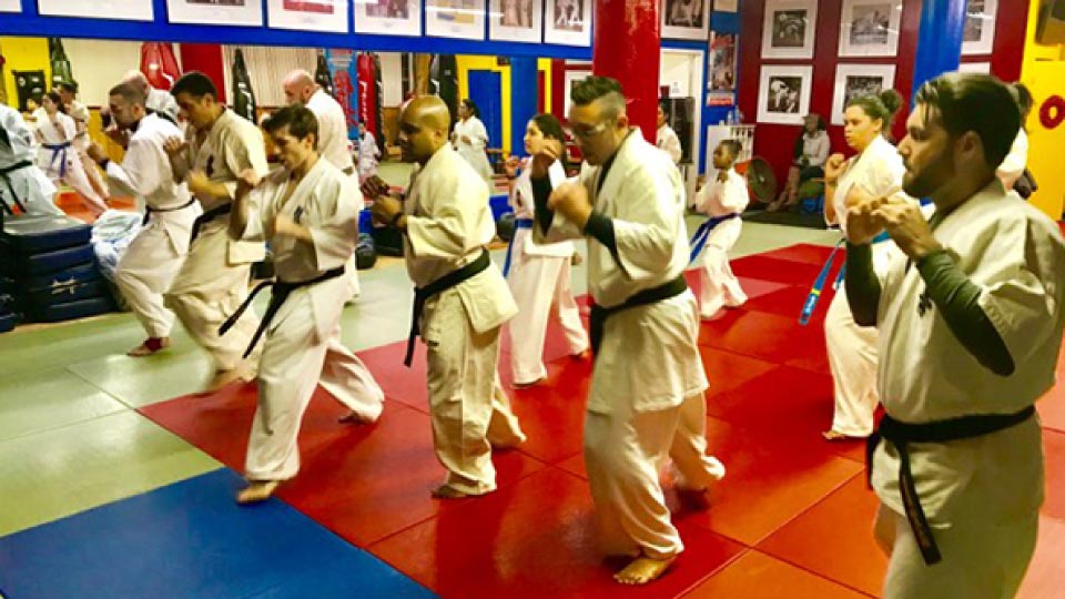 Kokoro Karate Dojo